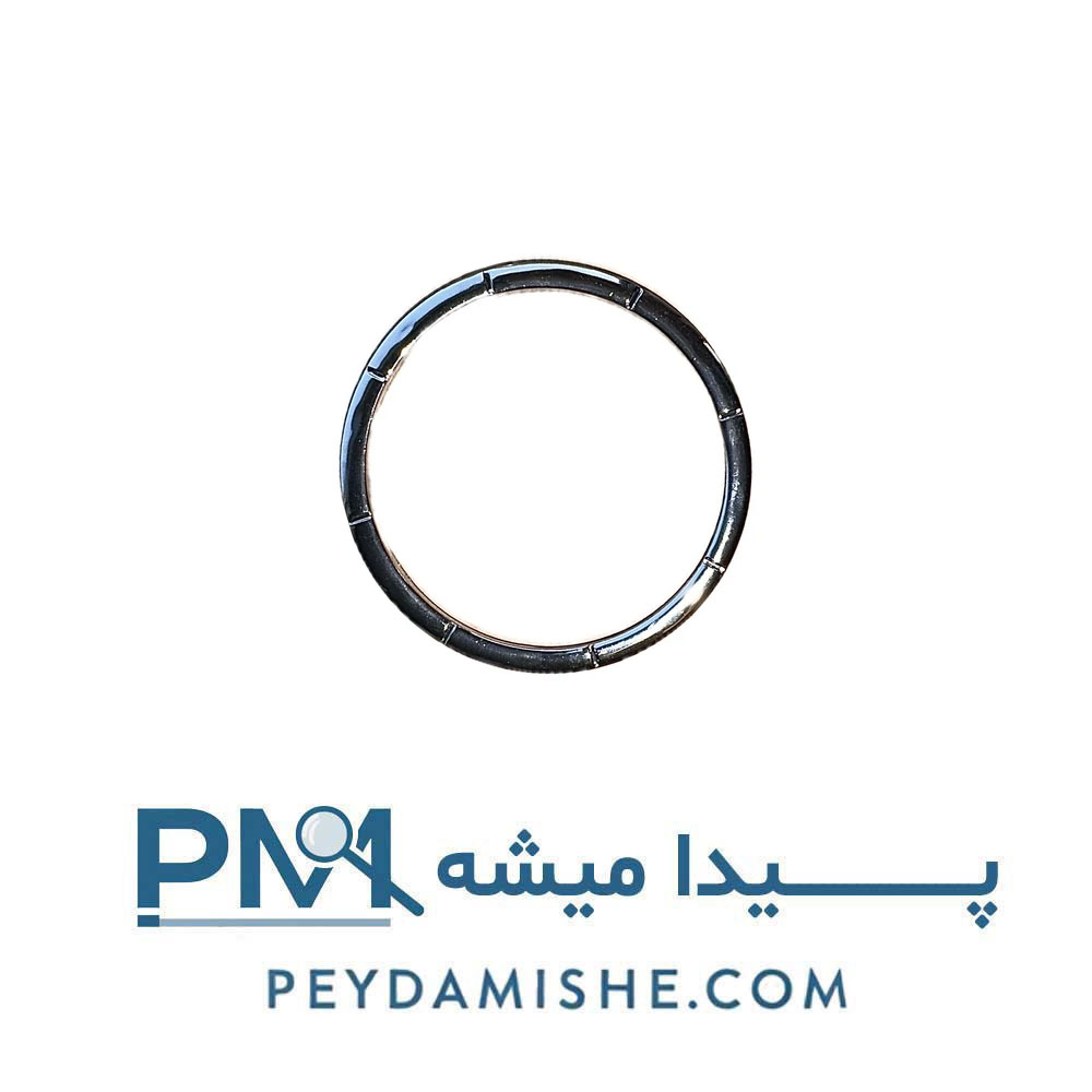 حلقه کروم روی ایربگ مگان