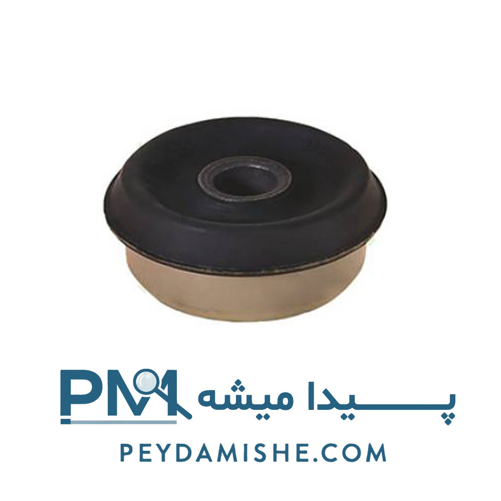 بوش اکسل عقب کایوچویی ( لاستیک پلاستیک ) 405 برند امیرنیا