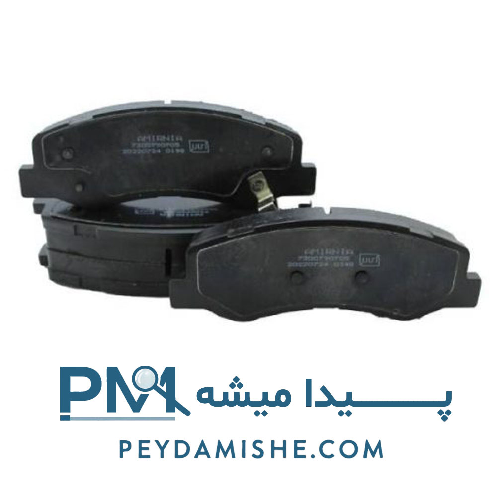 لنت دیسکی عقب رانا برند امیرنیا