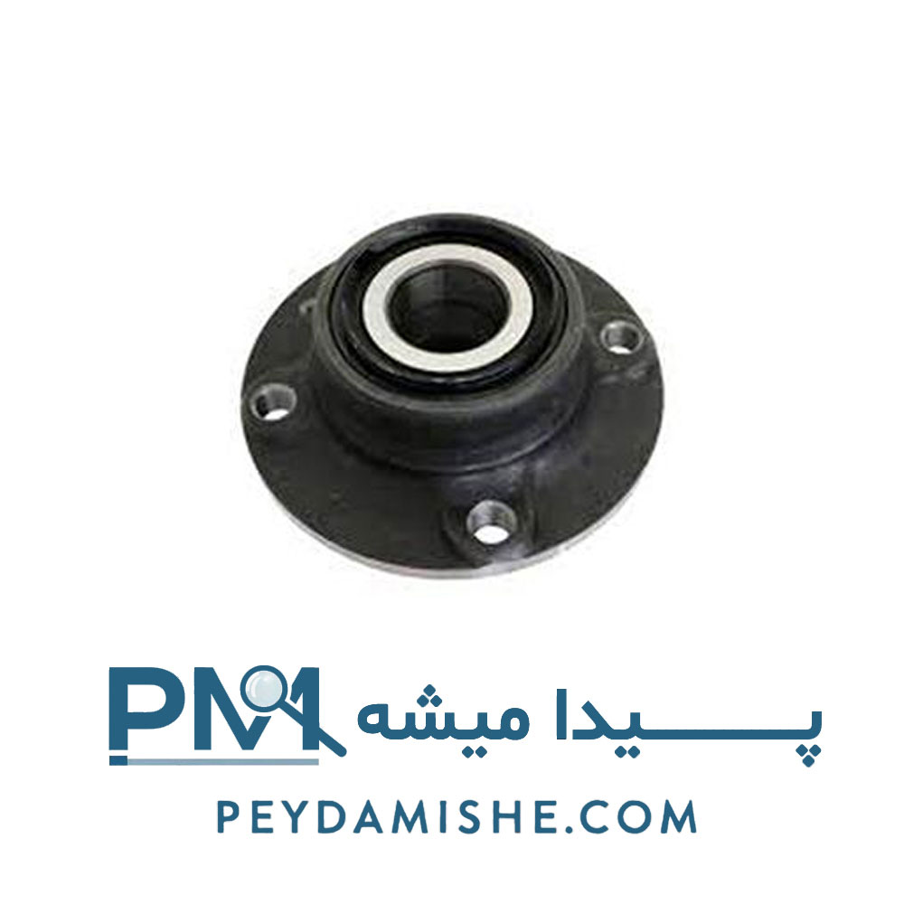 توپی چرخ عقب 405 با بلبرینگ برند امیرنیا