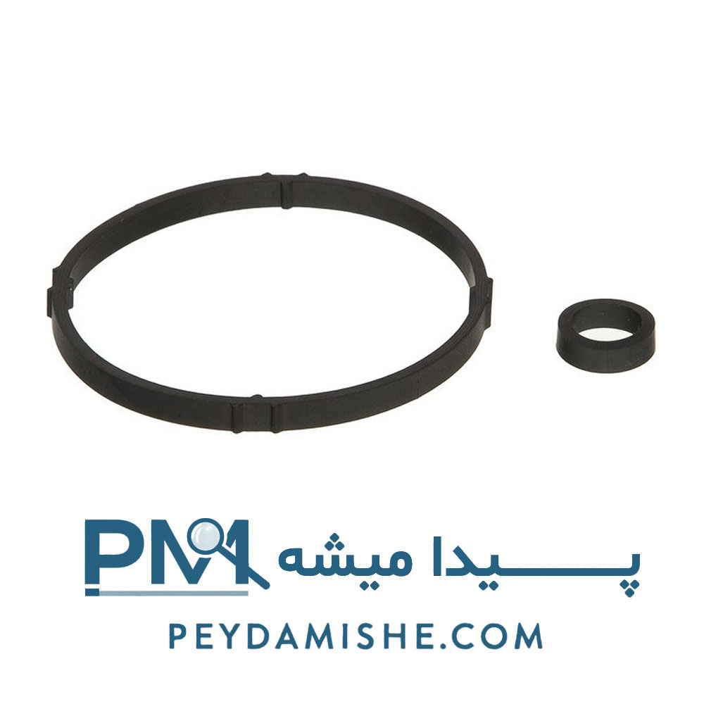 کاسه نمد فیلتر و پایه نگهدارنده – دو تائی 206 برند ویژن