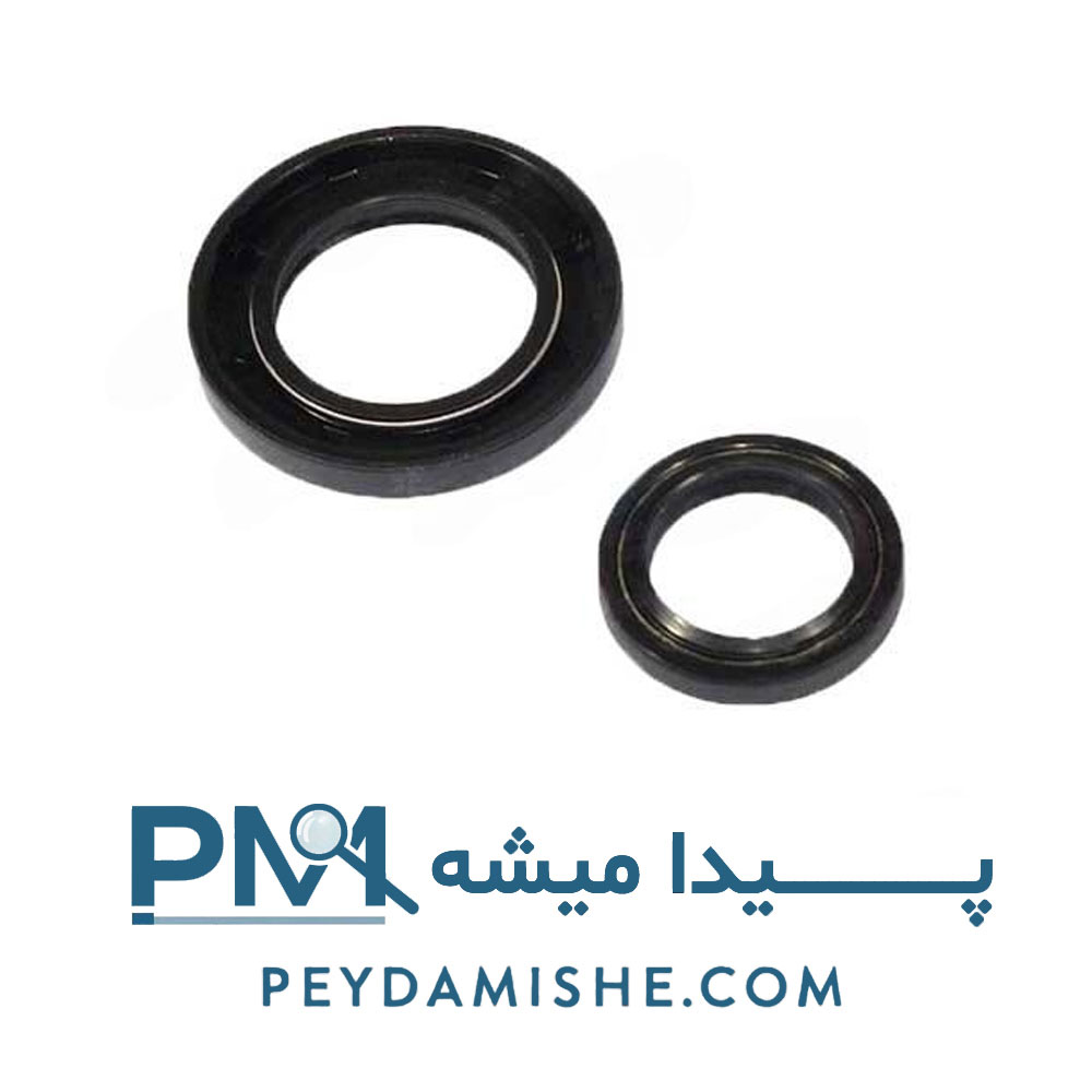 کاسه نمد جعبه فرمان پژو 206 برند ویژن