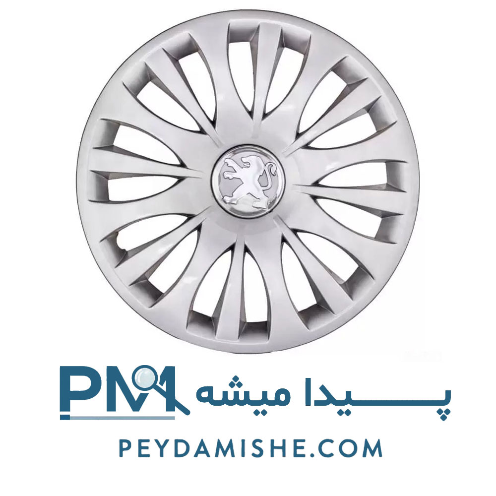 قالپاق رینگ 206 NEW بسته کارتنی 4 عددی برند ابوئی