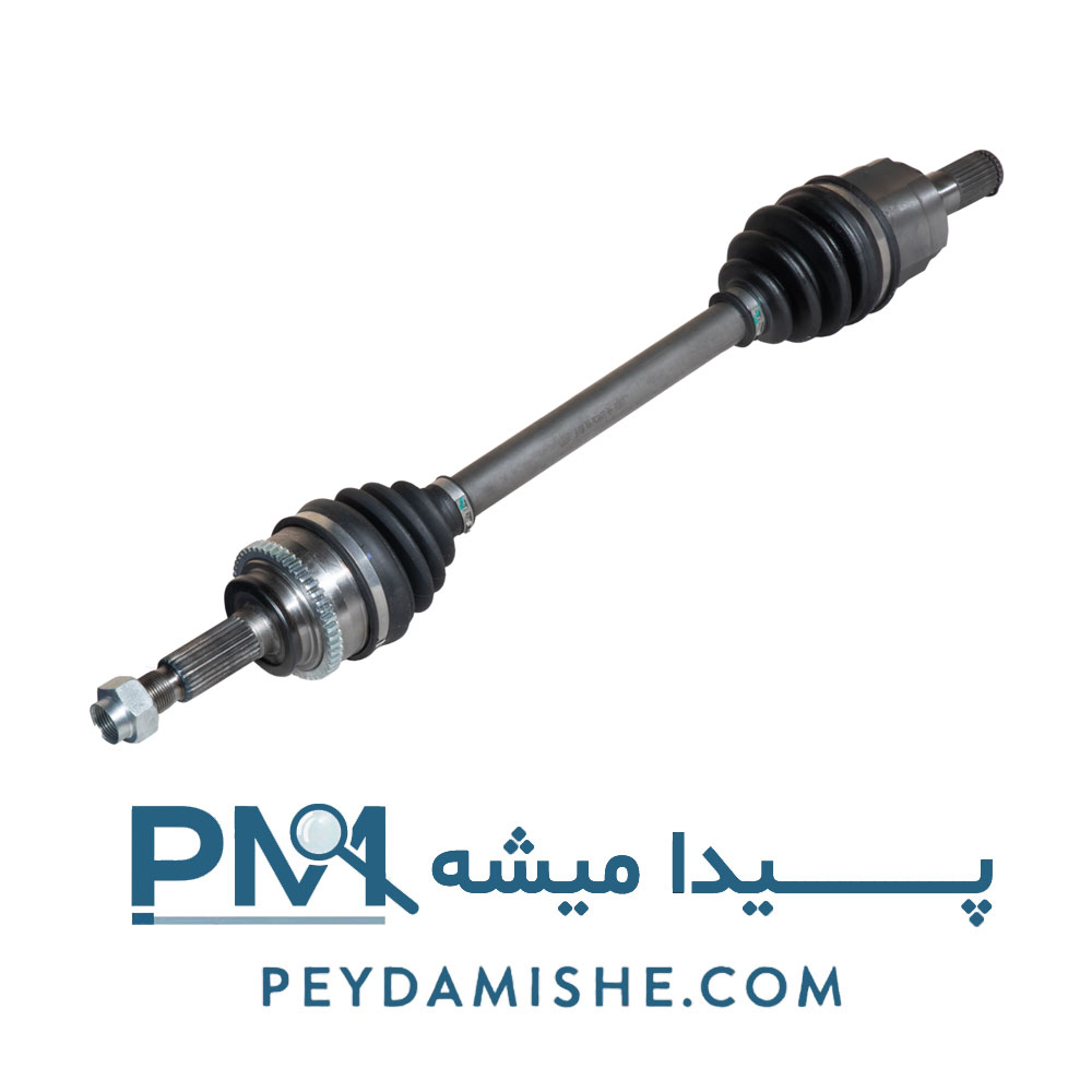 پلوس کامل راست کیا پیکانتو برند رایو