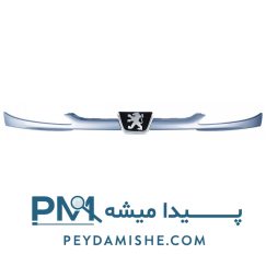 جلو پنجره نقره ای آبی پژو 206