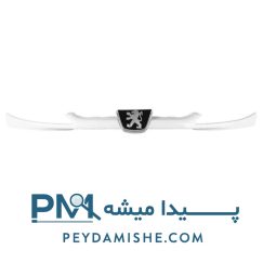 جلو پنجره 206