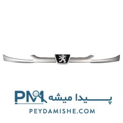 جلو پنجره 206