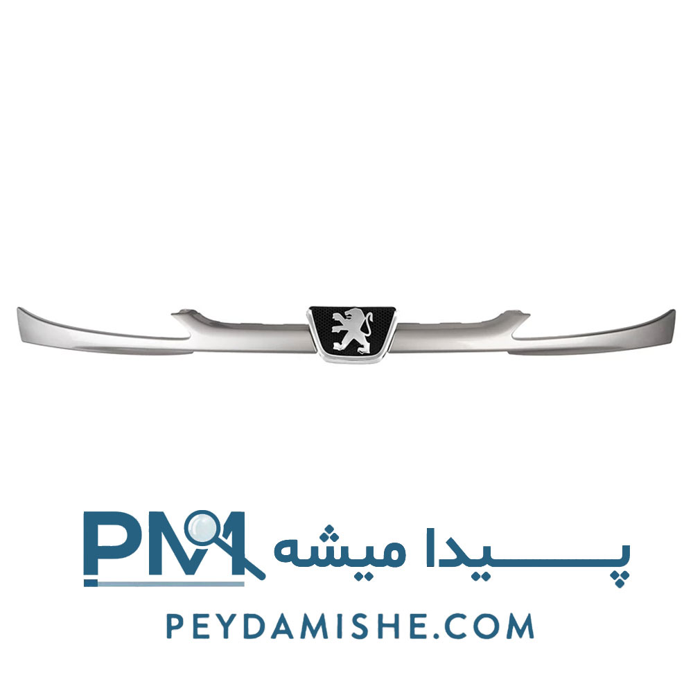جلو پنجره 206